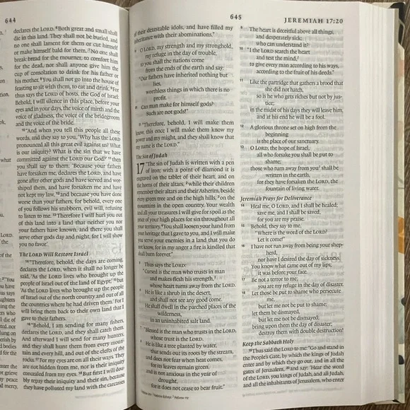 Floral Thinline Bible | ESV Large Print - Picture 4 of 6